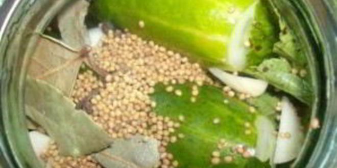 Рецепт соленых огурцов ны зиму