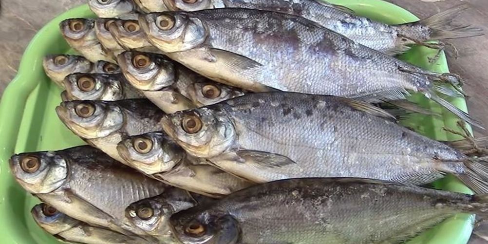 Рецепт засолка бочковых огурцов на зиму