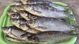 Рецепт Сухая засолка рыбы на зиму
