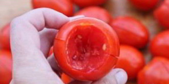 Рецепт свежие помидоры на зиму