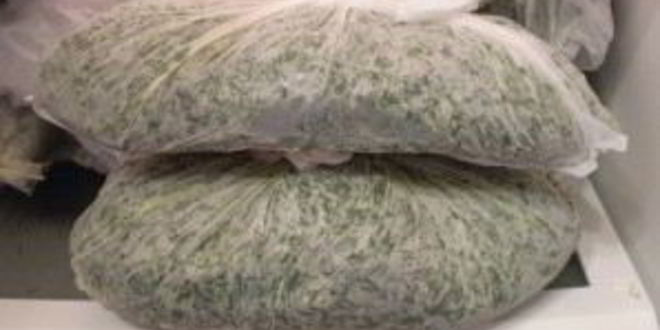 Рецепт укроп на зиму