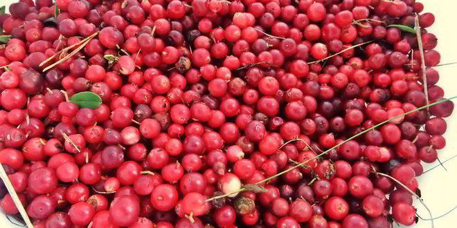 Рецепт бруснично-яблочное варенье с морковью