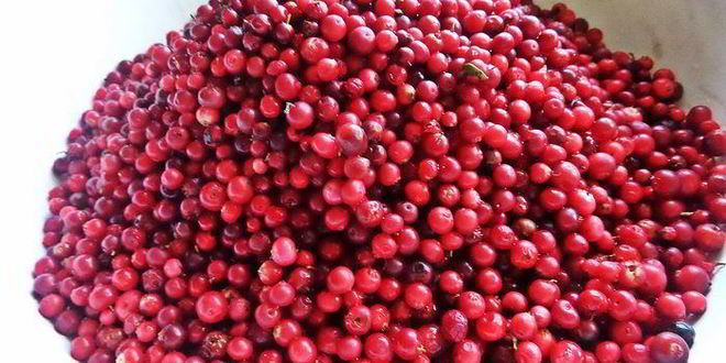 Рецепт бруснично-яблочное варенье с морковью