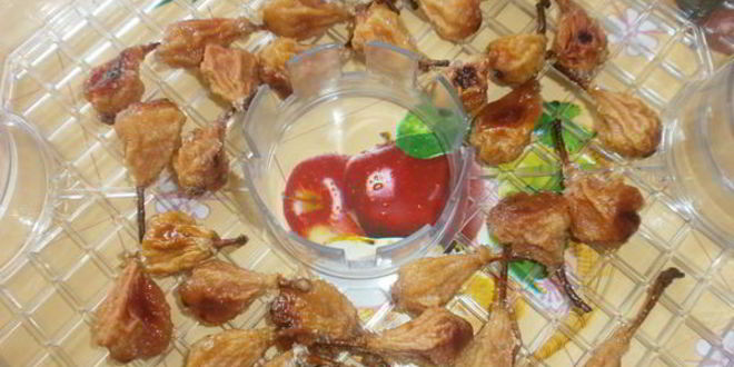 Рецепт киевское сухое варенье из груш