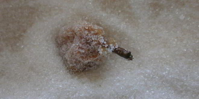 Рецепт киевское сухое варенье из груш