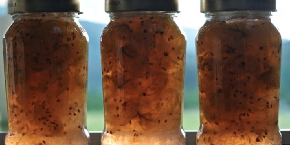 Как приготовить конфитюр из крыжовника