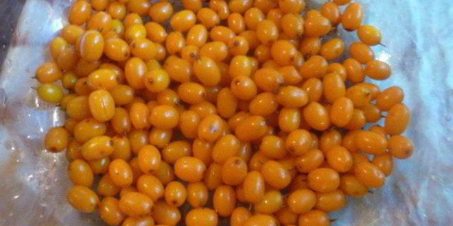 Рецепт облепиховое варенье