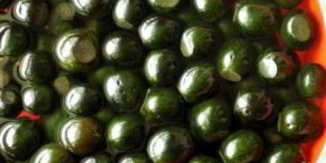 Рецепт ореховое варенье