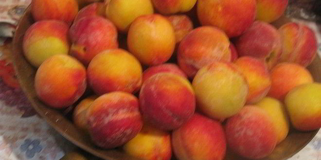 Рецепт персиковое варенье