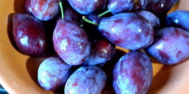 Рецепт варенье ежевично-сливовое