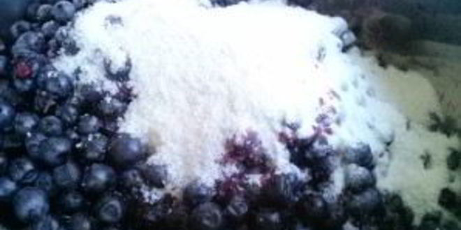 Рецепт варенье из черники без сахара