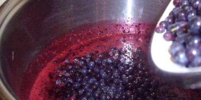 Рецепт варенье из черники пятиминутка