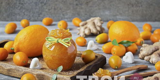 Рецепт варенье из имбиря