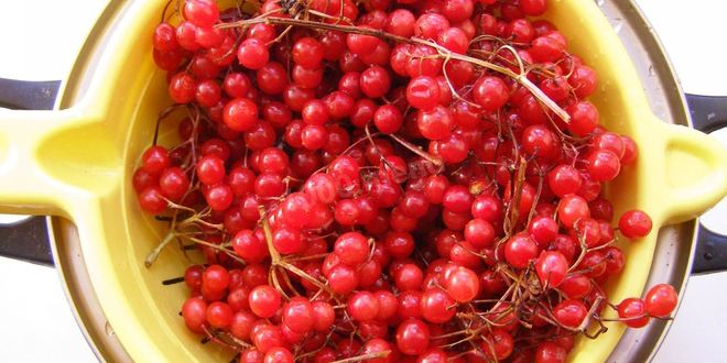 Рецепт варенье из калины на зиму