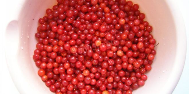 Рецепт варенье из калины на зиму