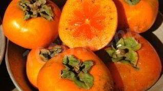 Рецепт Варенье из хурмы