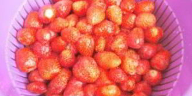 Рецепт варенье из клубники в мультиварке