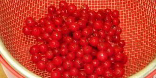 Рецепт варенье из красной смородины без закатки