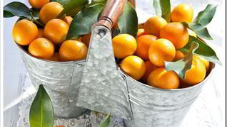 Рецепт Варенье из кумквата