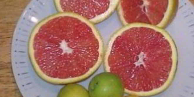 Рецепт варенье из кумквата