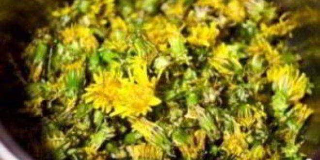 Рецепт варенье из одуванчиков на зиму