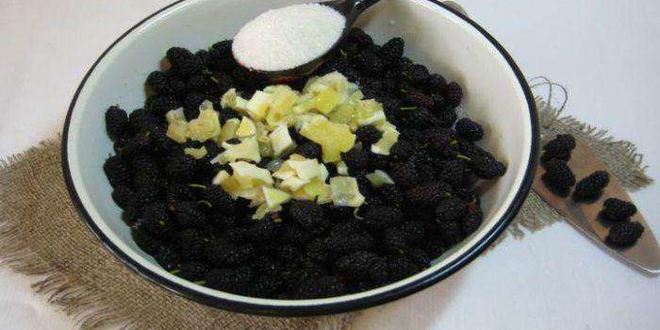 Рецепт варенье из шелковицы