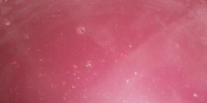 Рецепт варенье из терна