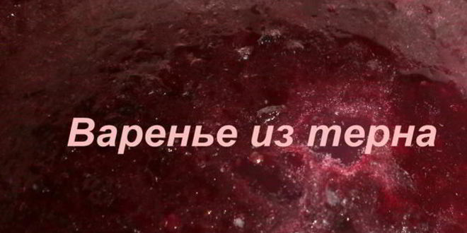 Рецепт варенье из терна