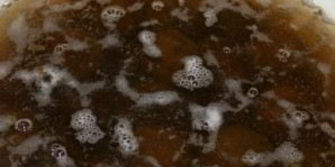 Рецепт варенье из зеленых грецких орехов