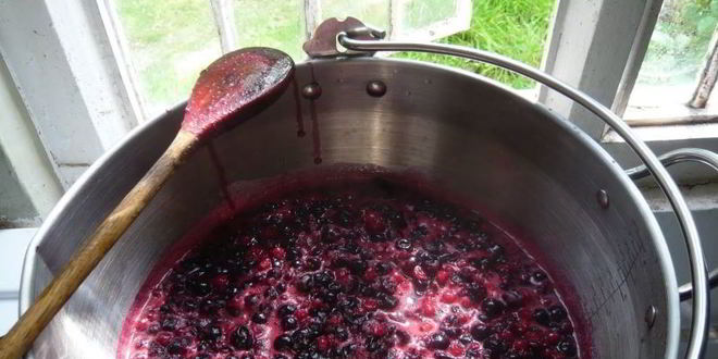 Рецепт варенье-пятиминутка из смородины на зиму