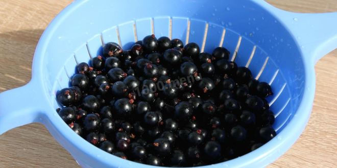 Рецепт варенье желе из черной смородины на зиму