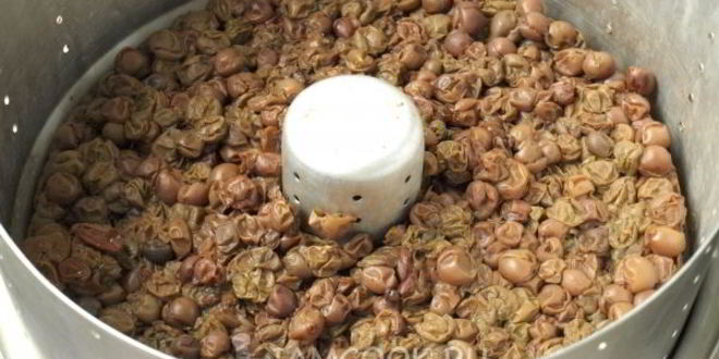 Рецепт виноградный сок в соковарке на зиму