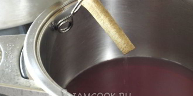 Рецепт виноградный сок в соковарке на зиму