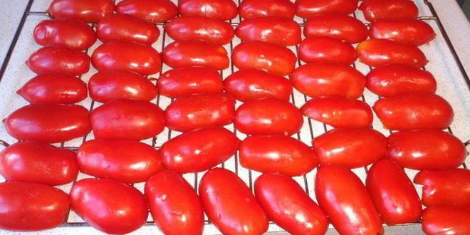 Рецепт вяленые помидоры