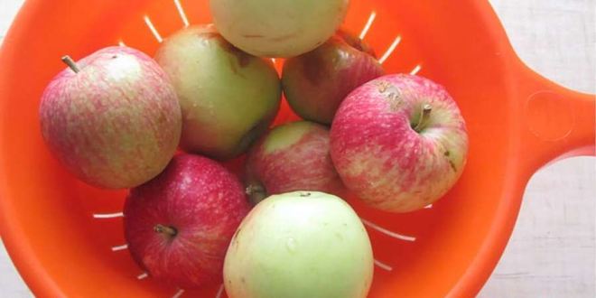 Рецепт яблоки на зиму