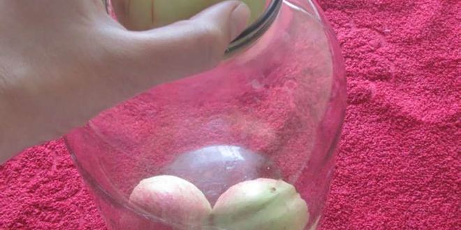 Рецепт яблоки на зиму