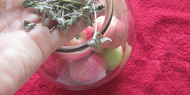 Рецепт яблоки на зиму