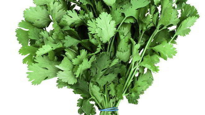 Рецепт Заготовка кинзы на зиму