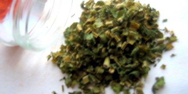 Рецепт заготовка сухих овощей и трав