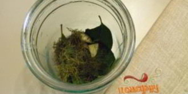 Рецепт закатка томатов на зиму