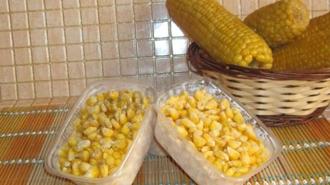 Рецепт Заморозить кукурузу на зиму в початках и зернах