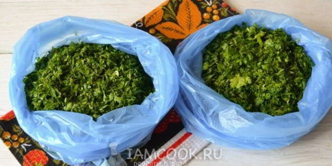 Рецепт заморозка кинзы на зиму