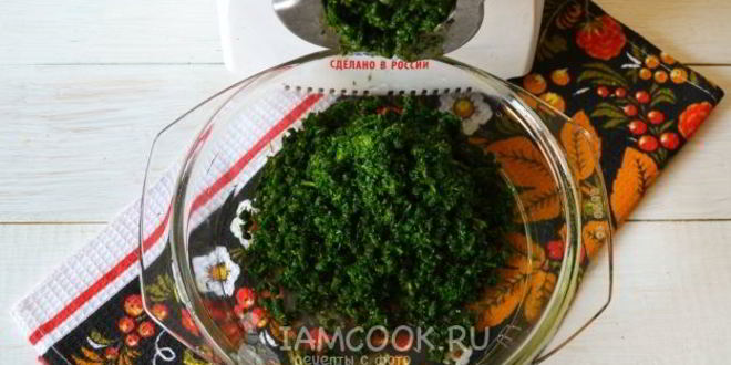 Рецепт заморозка кинзы на зиму