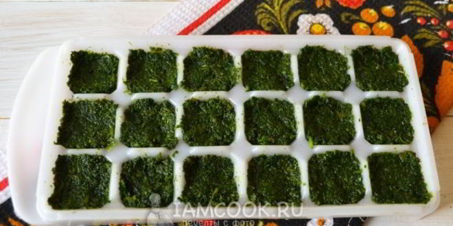 Рецепт заморозка кинзы на зиму