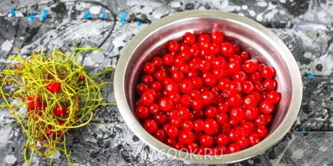 Рецепт заморозка красной смородины на зиму