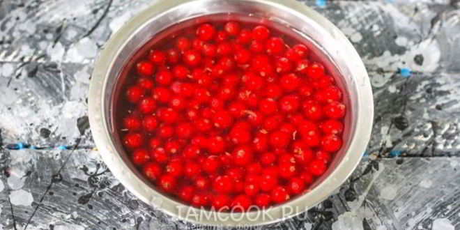 Рецепт заморозка красной смородины на зиму