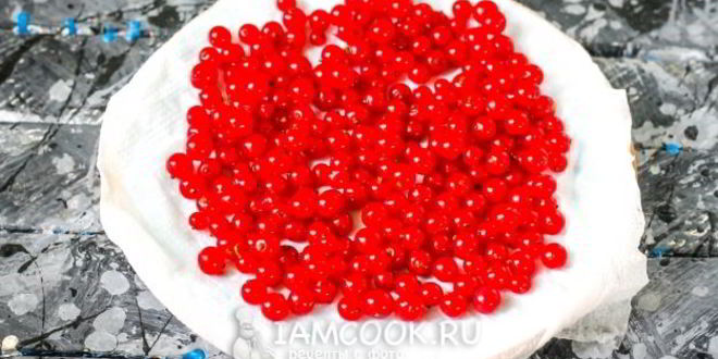 Рецепт заморозка красной смородины на зиму