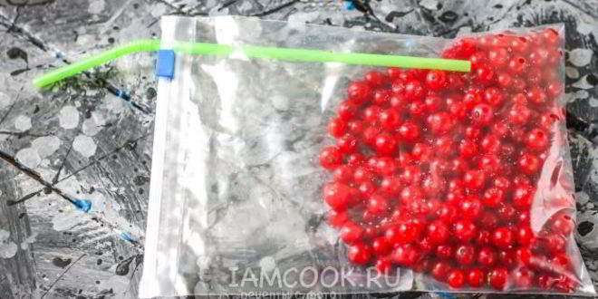 Рецепт заморозка красной смородины на зиму
