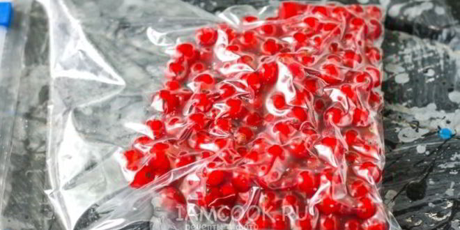 Рецепт заморозка красной смородины на зиму