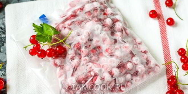 Рецепт заморозка красной смородины на зиму
